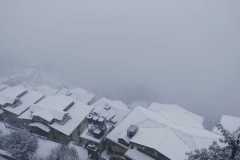 939faa68-1eba-47c5-bd82-790b083185e01